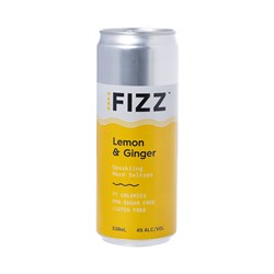 Hard Fizz Seltzer Lime & Ginger 330ml Can